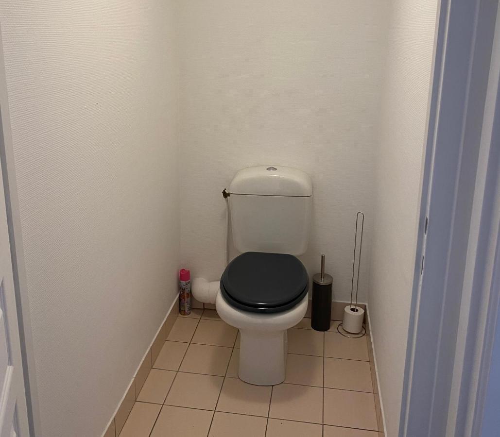 Charmant Appartement En Bord De Cher Saint Avertin Bagian luar foto